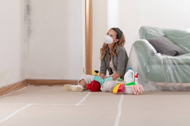 Reliable Mold Cleanup contractor in Havre de Grace, MD by WQB Mold Removal